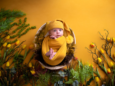 Custom Themed Shoots